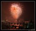IMG_1355