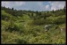 Krkonoše 4