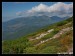 IMG_6364